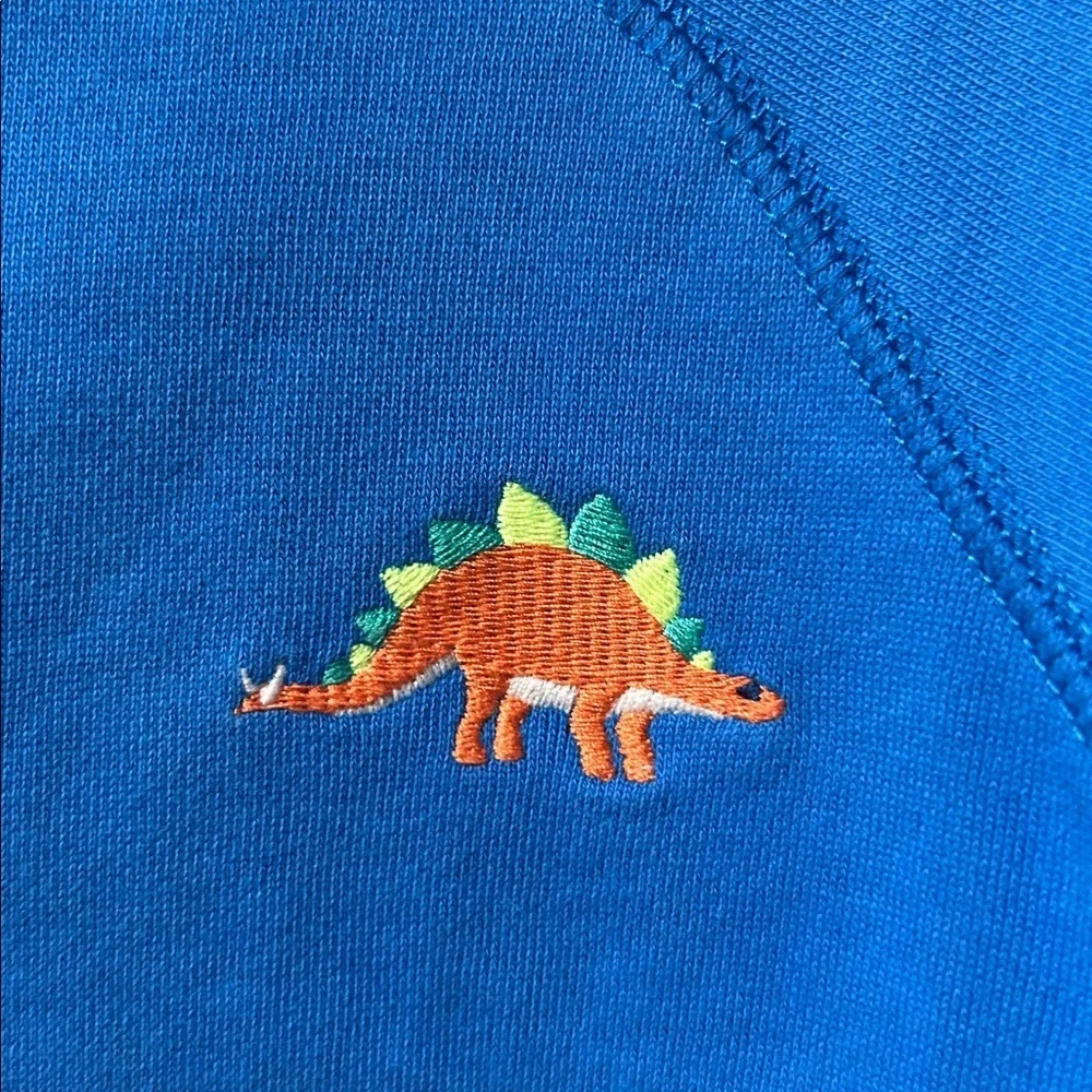 Gymboree Boys Dino Colorblock Fleece Hoodie - Dino Friends